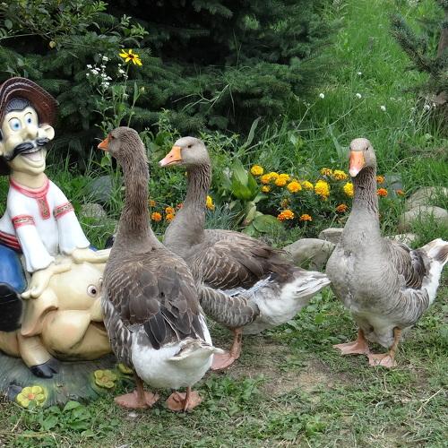 Photo #1443363