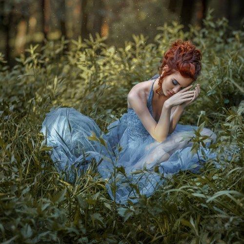 enchanted forest