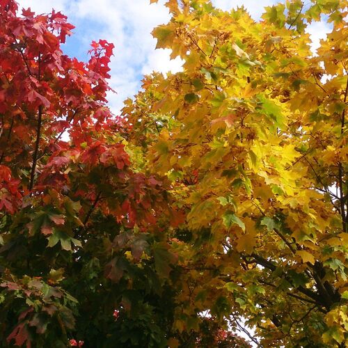Photo #1445839