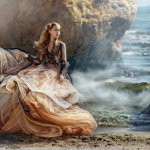 Photo #1446600