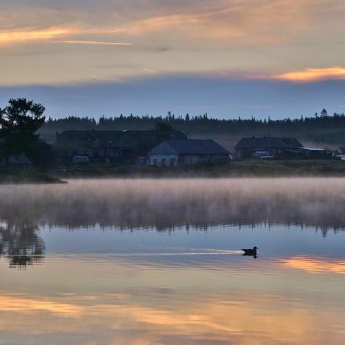 Предрассветное