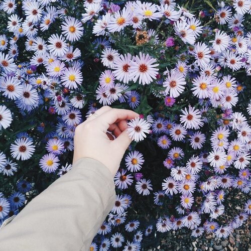Photo #1451853