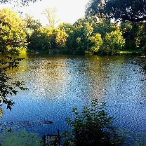 Photo #1451874