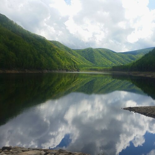 Зейское водохранилище летом