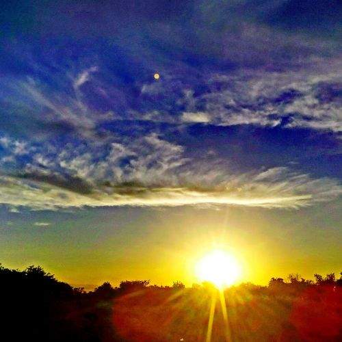 Photo #1453812