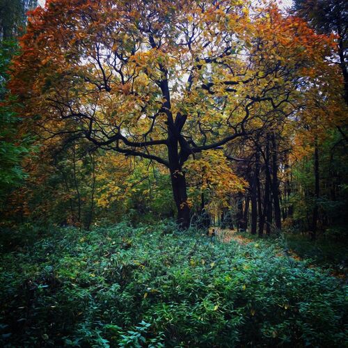 Photo #1455061