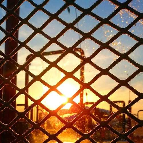 Photo #1456534