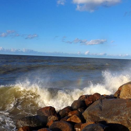 Photo #1457144