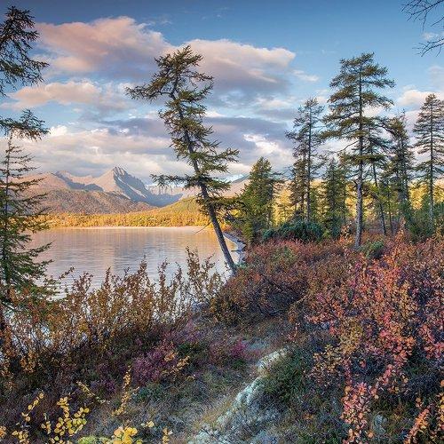 Утро на косе Биологов