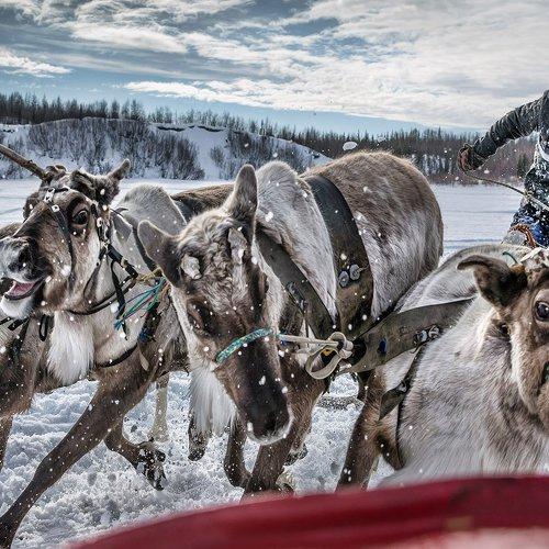 За секунду до...