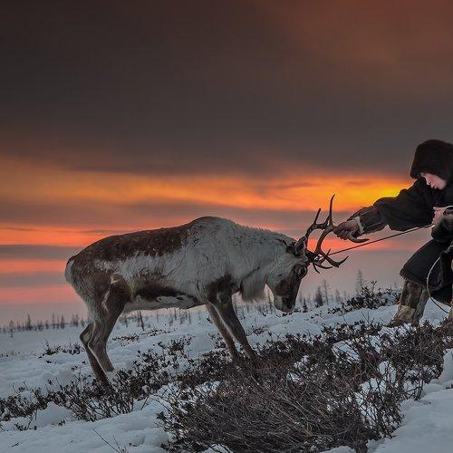 Два упрямца