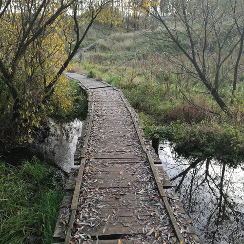 Мост на болоте