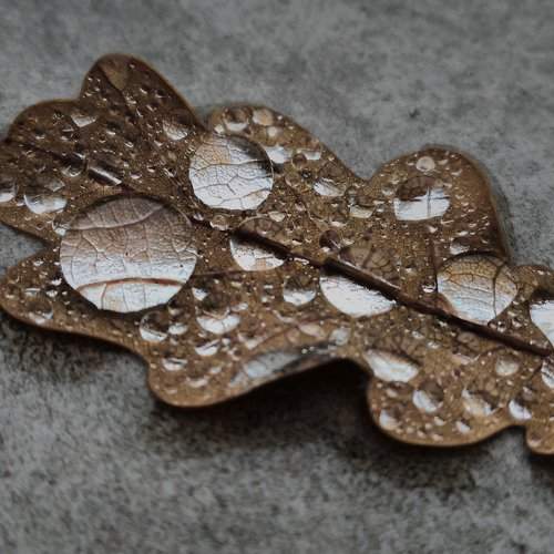 Photo #1459804