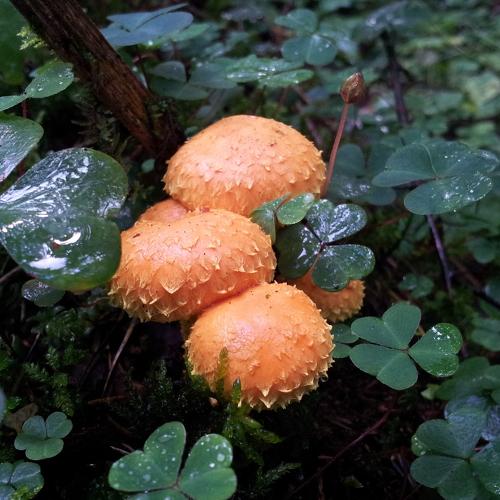 Photo #1459809
