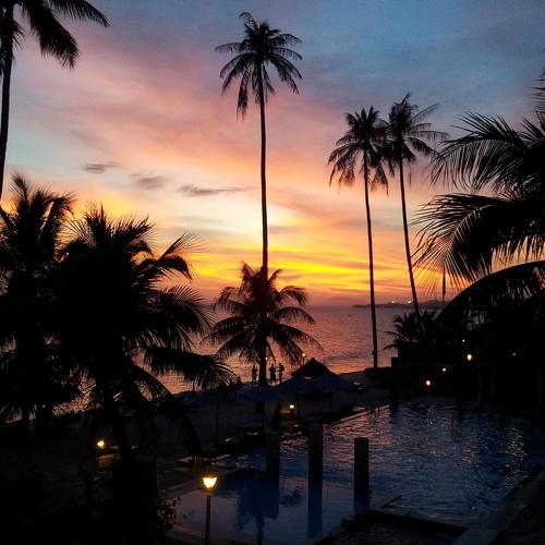 Photo #1459813