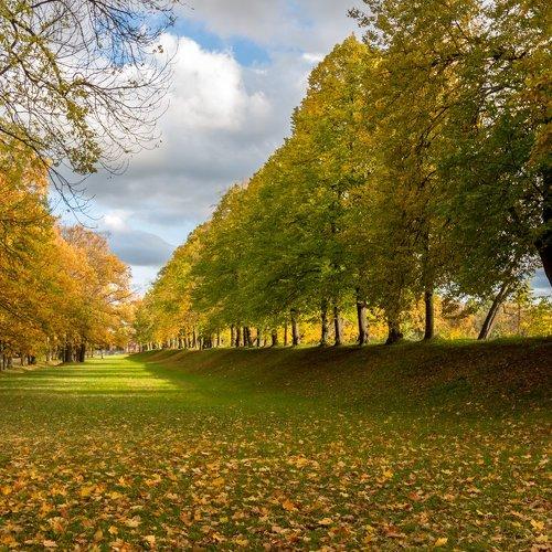 Осень в Петергофе