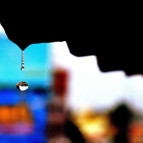 dew drop