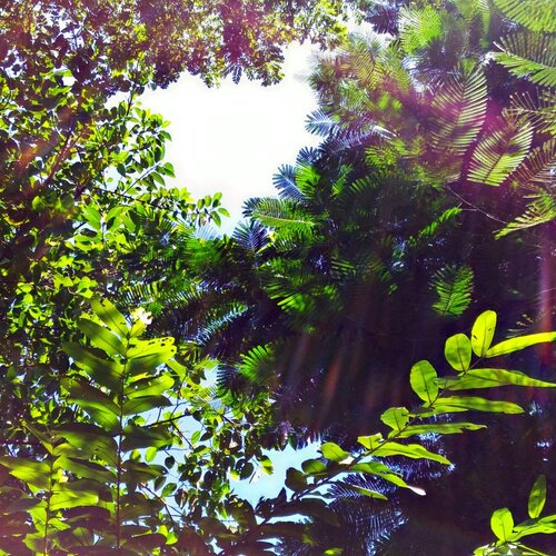 Capture of nature