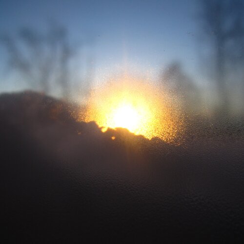 Photo #1469074
