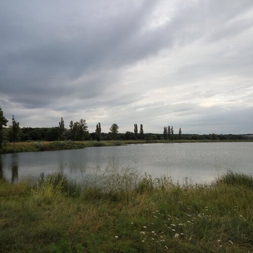 лесок