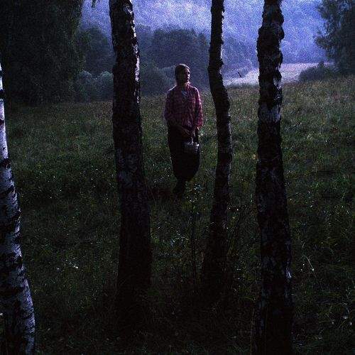 По грибы