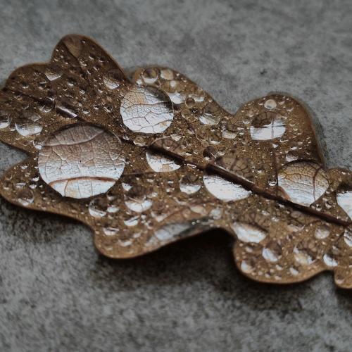 Photo #1470779