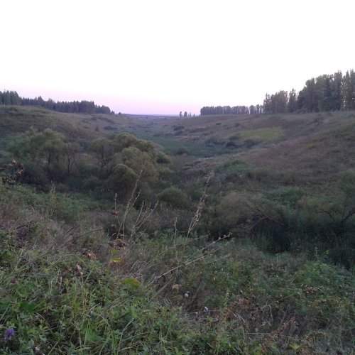 Photo #1471046