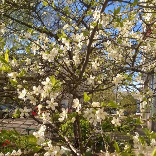 Неземная красота
