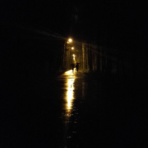 вечер в парке