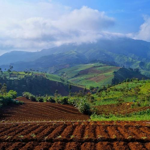 The terace of Dieng