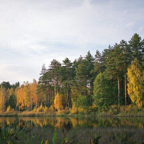 Полесье осенью