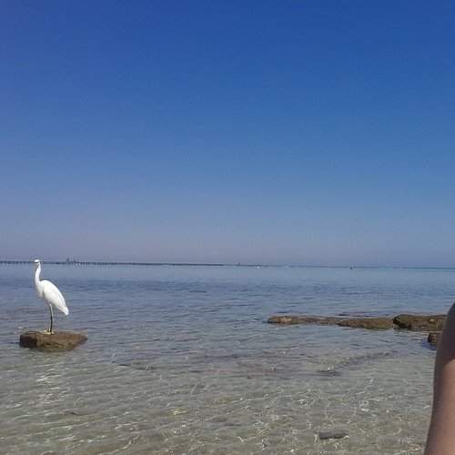 Photo #1475461