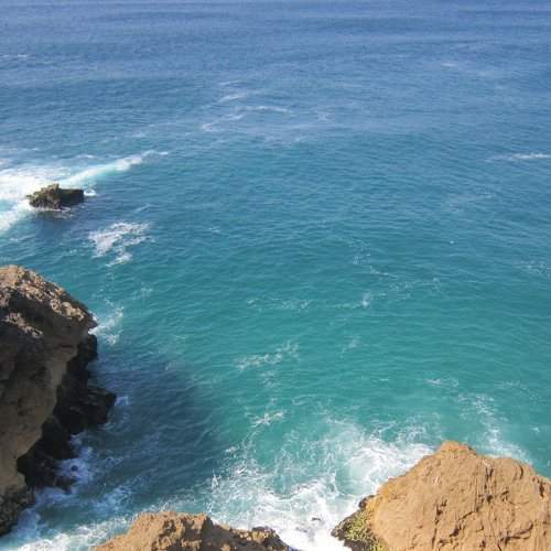 Photo #1475463