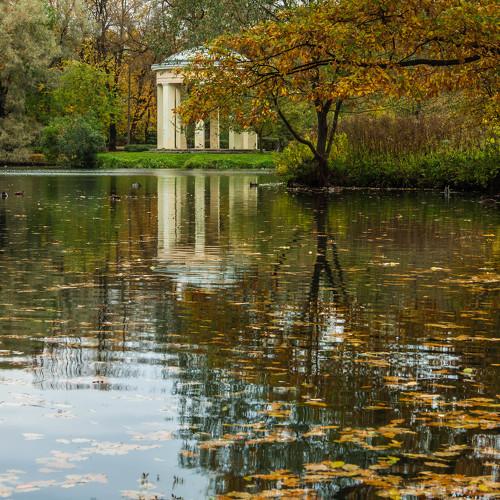 Беседка в осени