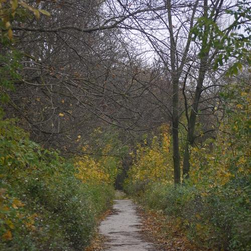 Photo #1477526
