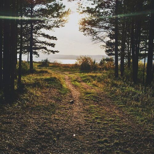 Photo #1480187