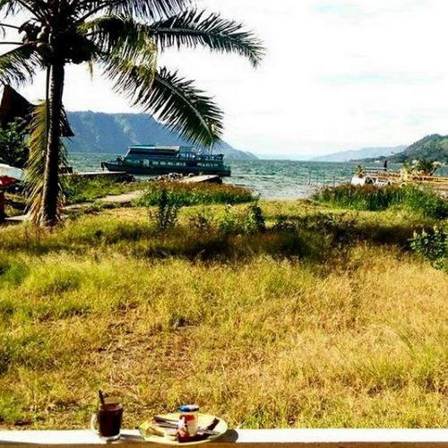A Room with a View