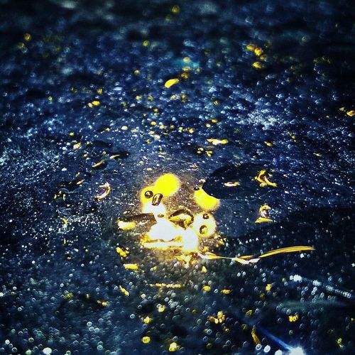 Shining drops