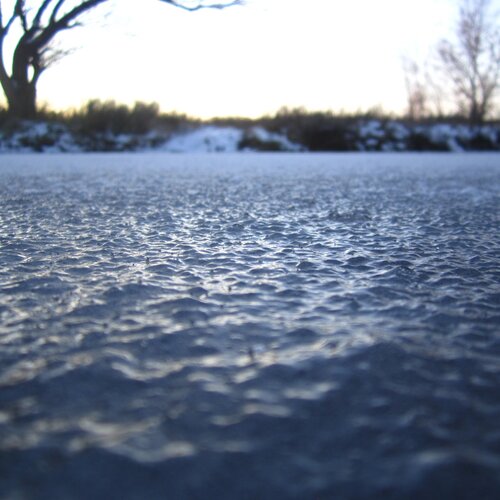 Photo #1486160