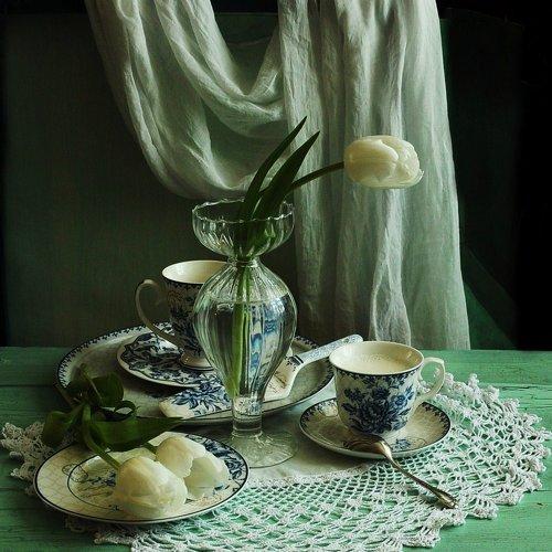 Photo #1486532