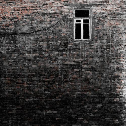 Photo #1487317