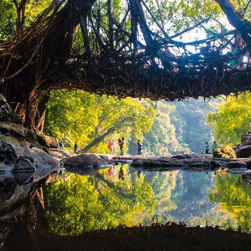 The power of Nature.