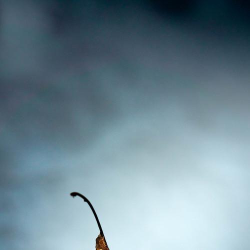 Photo #1488842