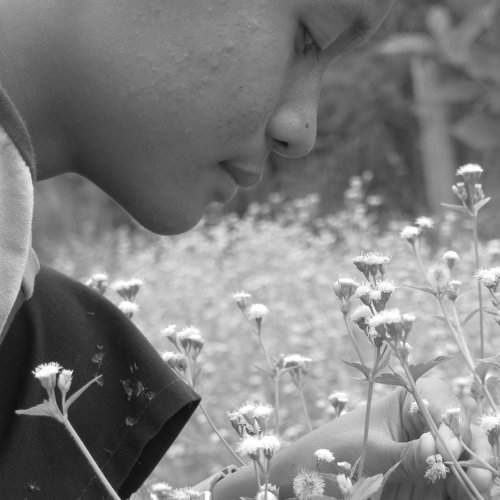 Boy's Flower
