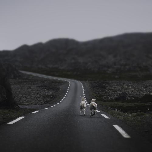 The way