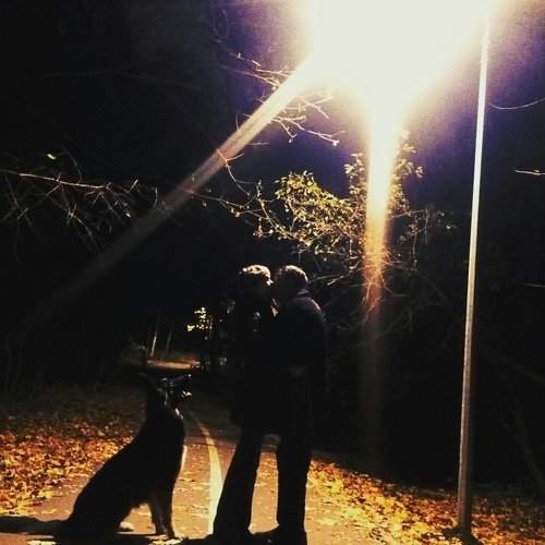 Photo #1492276
