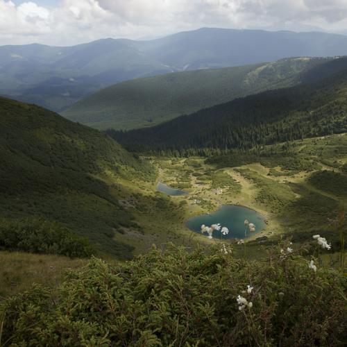 горное зеркало