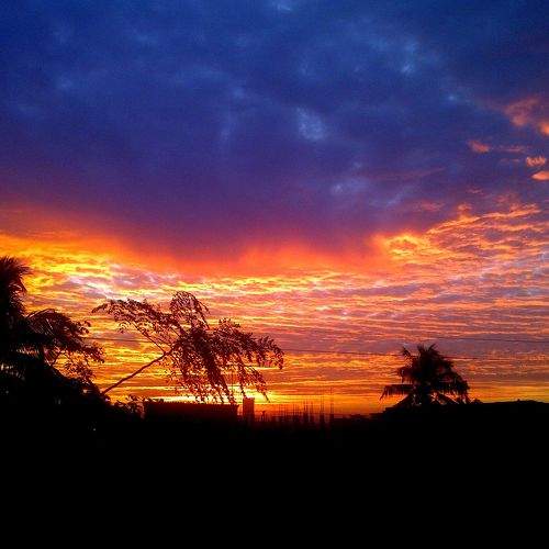 Morning Starts
