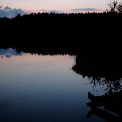 Photo #1498323
