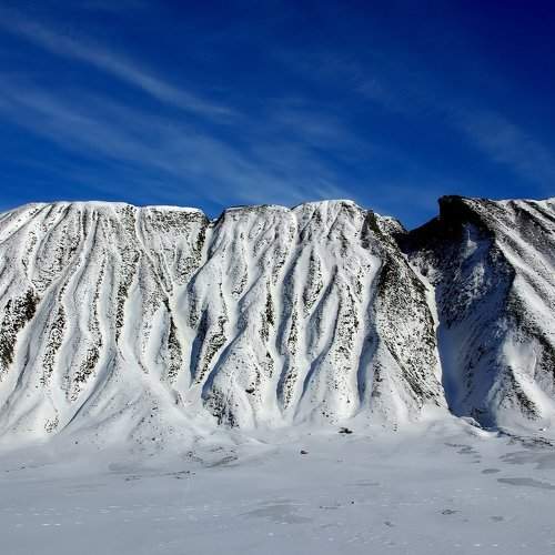 Photo #1498489